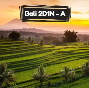 paket liburan ke bali untuk 2 orang