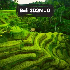 tour bali murah
