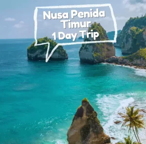 tour nusa penida 1 hari