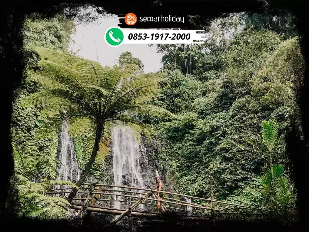 Biaya Tour Ke Bali 3 Hari 2 Malam