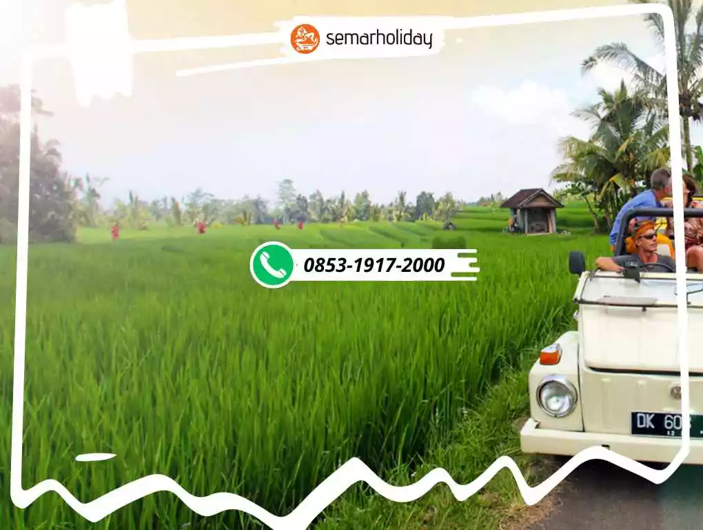 Outbound Ke Bali Murah