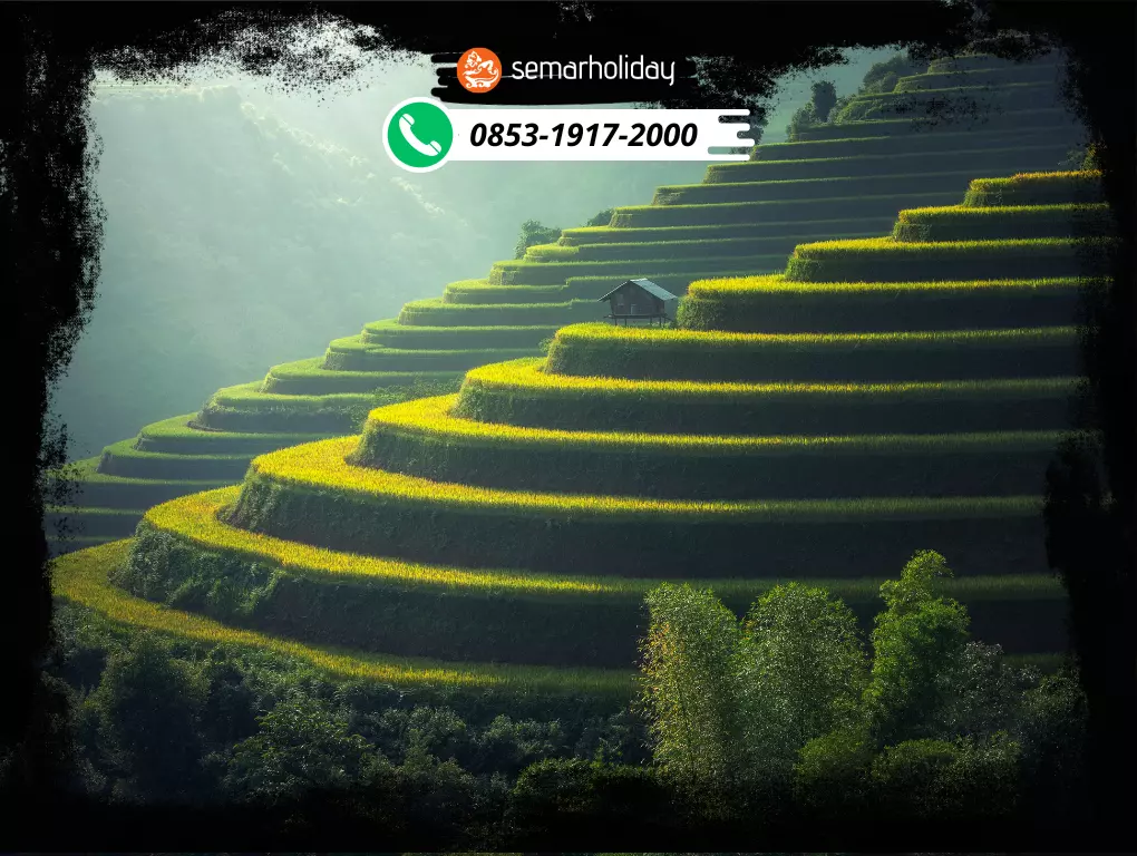 Paket Atv Bali 3 Hari 2 Malam