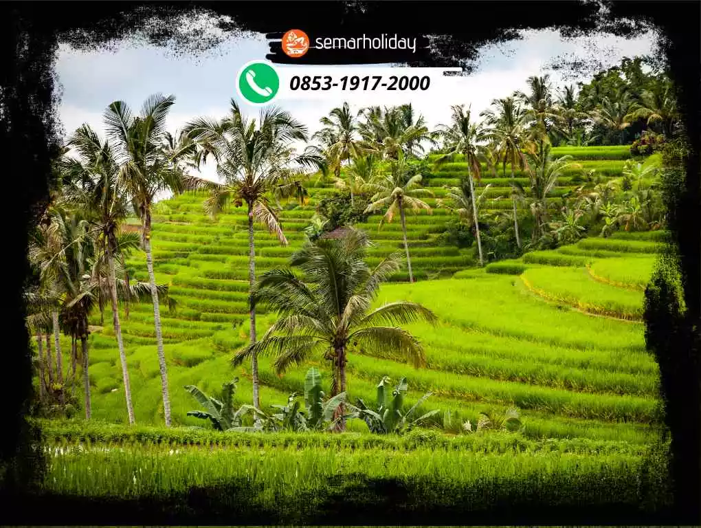 Paket Outbound Bali Murah 3 Hari 2 Malam