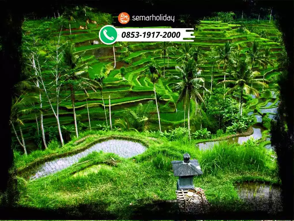 Paket Traveling Ke Bali Murah 3 Hari 2 Malam