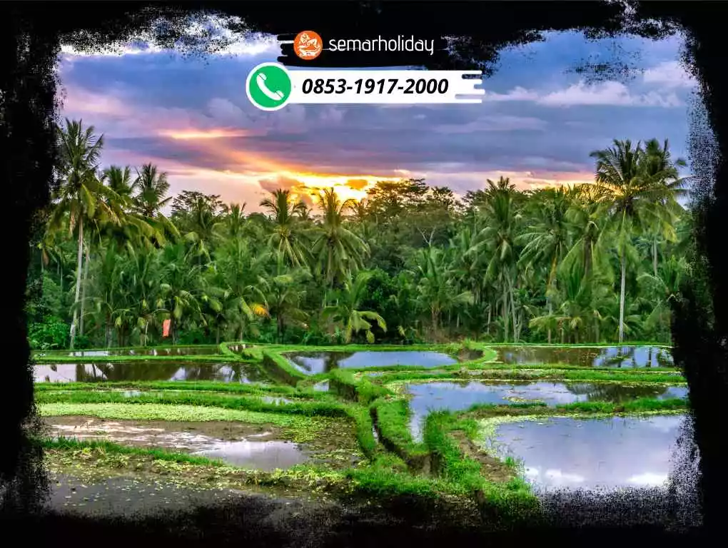 Wisata Ke Bali Murah 3 Hari 2 Malam